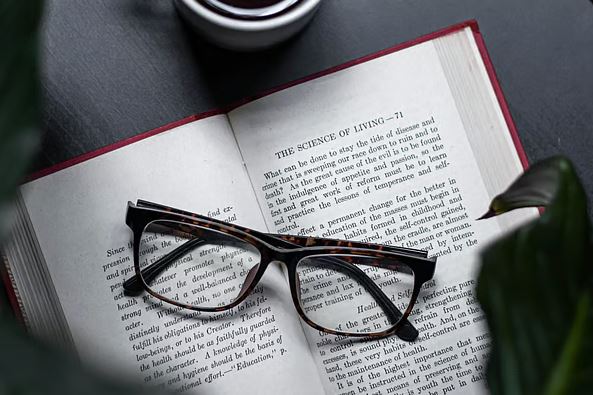 What happens to the brain when you read a book
